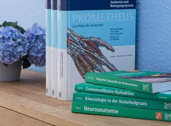 Mitglied im Bundesverband der Osteopathen